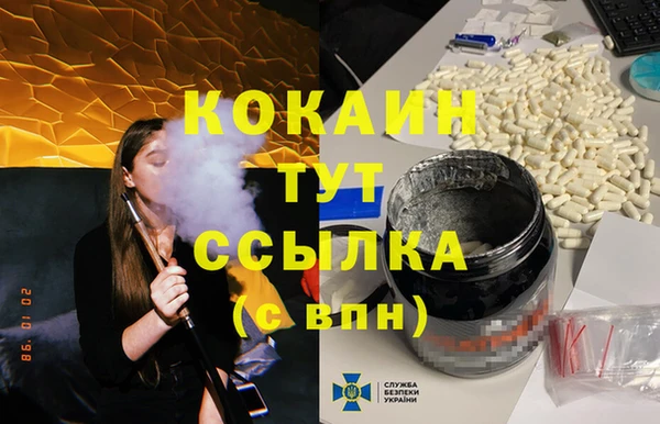 дмт Богданович