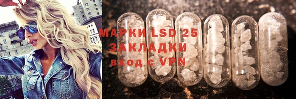 PSILOCYBIN Баксан