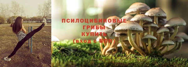 амф Белокуриха